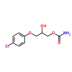 Chlorphenesin carbamate picture