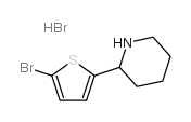 2-(5-bromothiophen-2-yl)piperidine,hydrobromide Structure