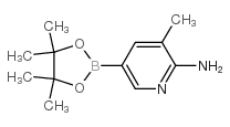 3-methyl-5-(4,4,5,5-tetramethyl-1,3,2-dioxaborolan-2-yl)pyridin-2-amine Structure