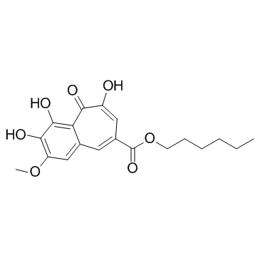 CU CPT 22 structure