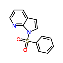 1-(Phenylsulfonyl)-1H-pyrrolo[2,3-b]pyridine Structure