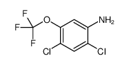 2,4-二氯-5-(三氟甲氧基)苯胺图片