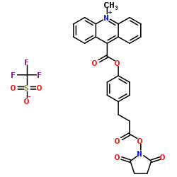 Acridinium C2 NHS Ester structure