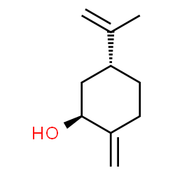 (E)-isocarveol structure