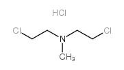 Chlormethine Structure