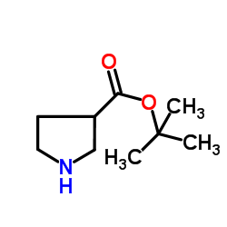 吡咯烷-3-甲酸叔丁酯结构式