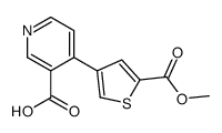 4-(5-methoxycarbonylthiophen-3-yl)pyridine-3-carboxylic acid Structure