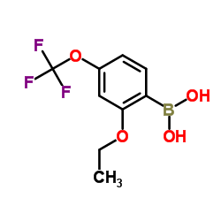 2-(2-(dimethylamino)ethoxy)phenylboronic acid structure