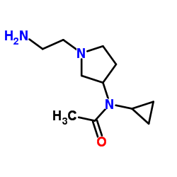 N-[1-(2-Aminoethyl)-3-pyrrolidinyl]-N-cyclopropylacetamide结构式