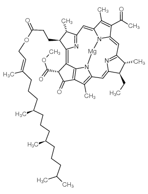 菌叶绿素结构式