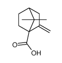 7,7-dimethyl-3-methylidenebicyclo[2.2.1]heptane-4-carboxylic acid Structure