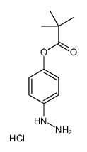 4-肼基苯基新戊酸酯盐酸盐结构式