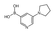 (5-(Pyrrolidin-1-yl)pyridin-3-yl)boronic acid structure