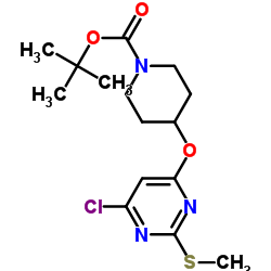 1261234-62-1 structure