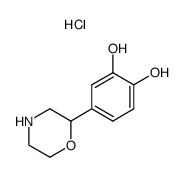 4-MORPHOLIN-2-YLPYROCATECHOL HYDROCHLORIDE Structure