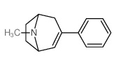 8-methyl-3-phenyl-8-azabicyclo[3.2.1]oct-3-ene structure