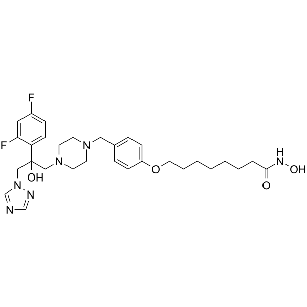 CYP51/HDAC-IN-1 structure