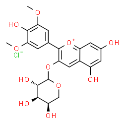 28500-04-1 structure