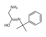 2-amino-N-(2-phenylpropan-2-yl)acetamide Structure