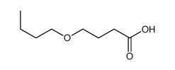 BUTANOICACID,4-BUTOXY- Structure