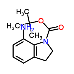 7-氨基二氢吲哚-1-羧酸叔丁酯图片