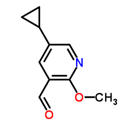 5-环丙基-2-甲氧基烟碱醛结构式