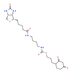 DCP-Bio3图片