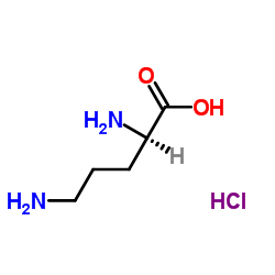 D-Ornithine monohydrochloride Structure