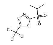 2-(propane-2-sulfonyl)-5-trichloromethyl-[1,3,4]thiadiazole Structure