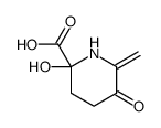 922178-52-7 structure