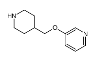 3-(piperidin-4-ylmethoxy)pyridine picture