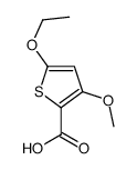 2-Thiophenecarboxylicacid,5-ethoxy-3-methoxy-(9CI) structure