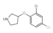 3-(2-Bromo-4-chloro-phenoxy)-pyrrolidine结构式