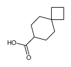 Spiro[3.5]nonane-7-carboxylic acid Structure