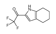 Ethanone, 2,2,2-trifluoro-1-(4,5,6,7-tetrahydro-1H-indol-2-yl)- (9CI) Structure