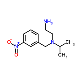 N-Isopropyl-N-(3-nitrobenzyl)-1,2-ethanediamine结构式