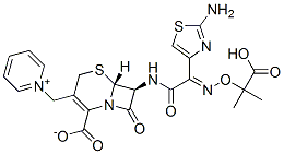 ceftazidime picture