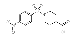 1-(4-NITRO-BENZENESULFONYL)-PIPERIDINE-4-CARBOXYLIC ACID图片