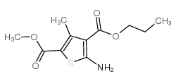 4-丙基-5-氨基-3-甲基噻吩-2,4-二羧酸-2-甲酯图片