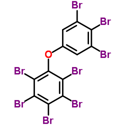 446255-56-7 structure