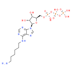 N(6)-aminohexyladenosine triphosphate Structure