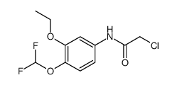 2-CHLORO-N-(4-DIFLUOROMETHOXY-3-ETHOXY-PHENYL)-ACETAMIDE结构式