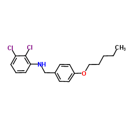 2,3-Dichloro-N-[4-(pentyloxy)benzyl]aniline Structure