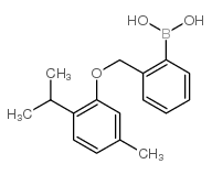 [2-[(5-methyl-2-propan-2-ylphenoxy)methyl]phenyl]boronic acid picture