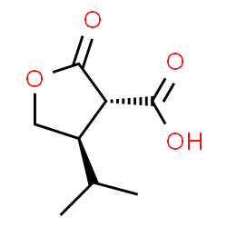 3-Furancarboxylicacid,tetrahydro-4-(1-methylethyl)-2-oxo-,trans-(9CI)结构式