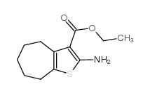 2-氨基-5,6,7,8-四氢-4H-环庚烷并[b]噻吩-3-羧酸乙酯图片