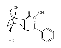 盐酸古柯碱 结构式