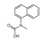 methyl(naphthalen-1-yl)carbamic acid Structure