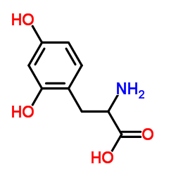 2,4-Dihydroxy-D-Phenylalanine structure