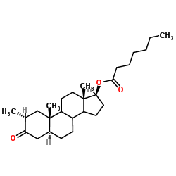 13425-31-5 structure